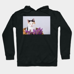 lovely kitten Hoodie